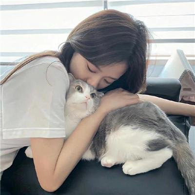 可怕的市虎